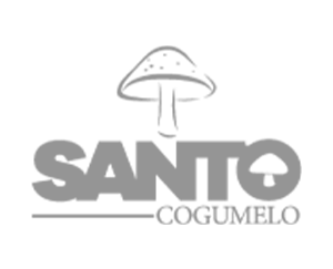 Santo Cogumelo